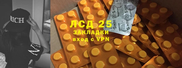 стафф Аркадак