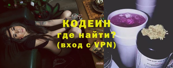 хмурый Арсеньев