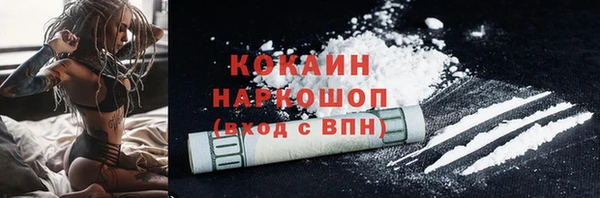 хмурый Арсеньев