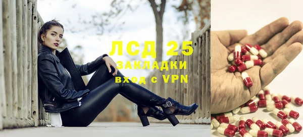 стафф Аркадак