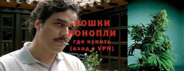 стафф Аркадак